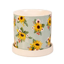 Harvest Blossom Planter, Ceramic Cachepot with Dish, 4.25", Asst of 3, CDU