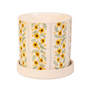 Harvest Blossom Planter, Ceramic Cachepot with Dish, 4.25", Asst of 3, CDU
