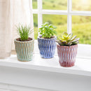 Hillside Pasture Planter, Ceramic zig textured planter, 3.2"Dx3.5"H,3 Asst