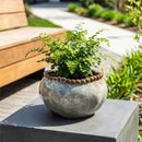 VivaStyle Planter, Ceramic Organic Shape with Beaded Rim, 8"