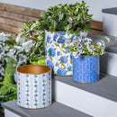 VivaStyle Planter, Metal Printed Planters, Hydrangea, Set of 3