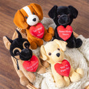 Valentine's Day Plush Toy, Sentiment Heart Dogs, 10", Asst of 4