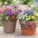 Cottage Garden Plant Support & Accessories, Metal and Glass Hummingbird, 4 Asst