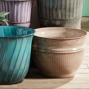 NAPA Home & Garden, CAMELIA POTS Collection