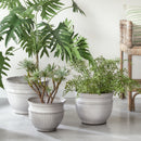 NAPA Home & Garden, CAMELIA POTS Collection