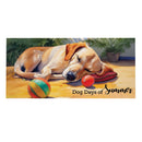 Dog Days of Summer Sassafras Switch Mat