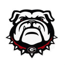 University of Georgia Layered Metal Wall Art