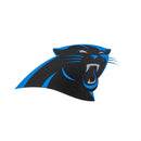 Carolina Panthers Layered Metal Wall Art