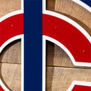 Minnesota Twins Layered Metal Wall Art