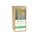 Seaside Retreat Stem, LED Lemon Branch, Set of 2 Branches, 30"H
