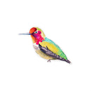 Cottage Garden Screen Savers, Bright Birds, 4", Asst of 6