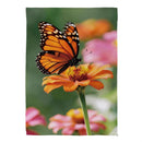 Cottage Garden Monarch Visit Suede Flag House