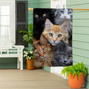 CATS! Suede House Flag