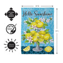 Hello Sunshine Lemons Suede Flag House