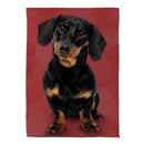 Pet Central Photo Dogs, Dachshund Suede House Flag