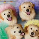 Pet Central Puppy Ballerinas Suede Flag Garden