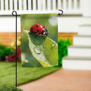 Morning Dew Ladybug Suede Flag Garden