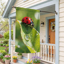 Morning Dew Ladybug Suede Flag House