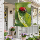 Morning Dew Ladybug Suede Flag House