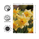 Daffodil Days Suede Flag Garden