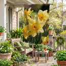 Daffodil Days Suede Flag House