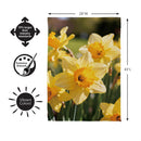 Daffodil Days Suede Flag House
