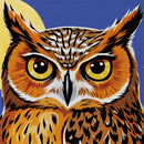 Moonlight Owl Suede Flag House