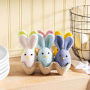 Hop Into Spring Table Decor, Flocked Bunnies in Egg Carton, 5"H