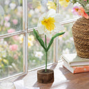 Hop Into Spring Table Decor Paper Flower on Wood Base, 15.75"H, Asst of 3