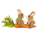 Hop Into Spring Table Decor, Sisal Bunny Riding on a Carrot, 13"L