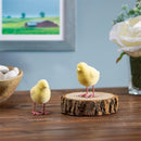 Bunny Blooms Table Decor Resin Flocked Chick with Metal Feet, 2.5"H, Asst of 2, CDU
