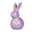 Hop Into Spring Table Decor Ceramic Bunny, 6"H, Asst of 2