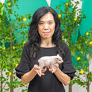 Hillside Pasture Table Decor Resin Pig, 7.5"L