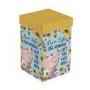 Petal & Plow Ceramic Perfect Cup, Farm Pig Funny, 17oz, Gift Box