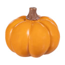 Harvest Blossom Token, Sunflower and Pumpkin, 2 Asst, Basket Display