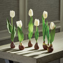 NAPA Home & Garden, STANDING TULIPS WITH BULBS, SET OF 6,TP205