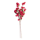 NAPA Home & Garden Bougainvillea Stems Bundle