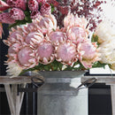 Napa Home Garden, KING PROTEA 33" STEM PINK,tp228pk