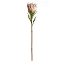 Napa Home Garden, KING PROTEA 33" STEM PINK,tp228pk