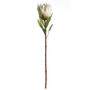 Napa Home Garden, KING PROTEA 33" STEM WHITE,tp228wh