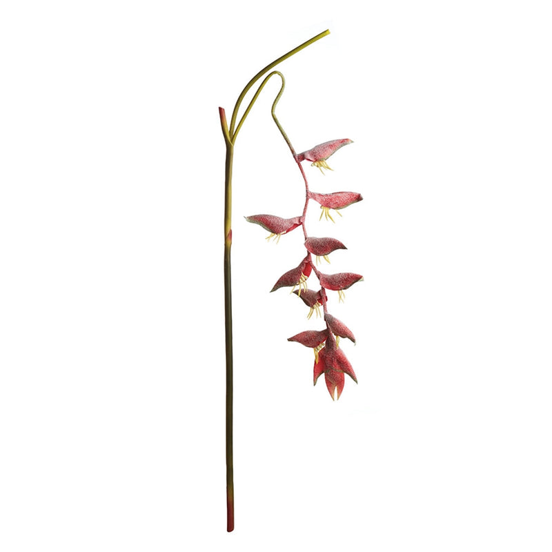 Napa Home Garden, HANGING HELECONIA 50.5" STEM PINK,tp236