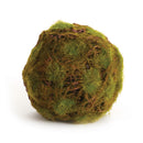 NAPA Home & Garden, MOSSY EARTHEN ORB 5.5",TP401