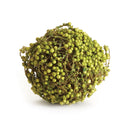 NAPA Home & Garden, GREEN BERRY ORB 4",TP409