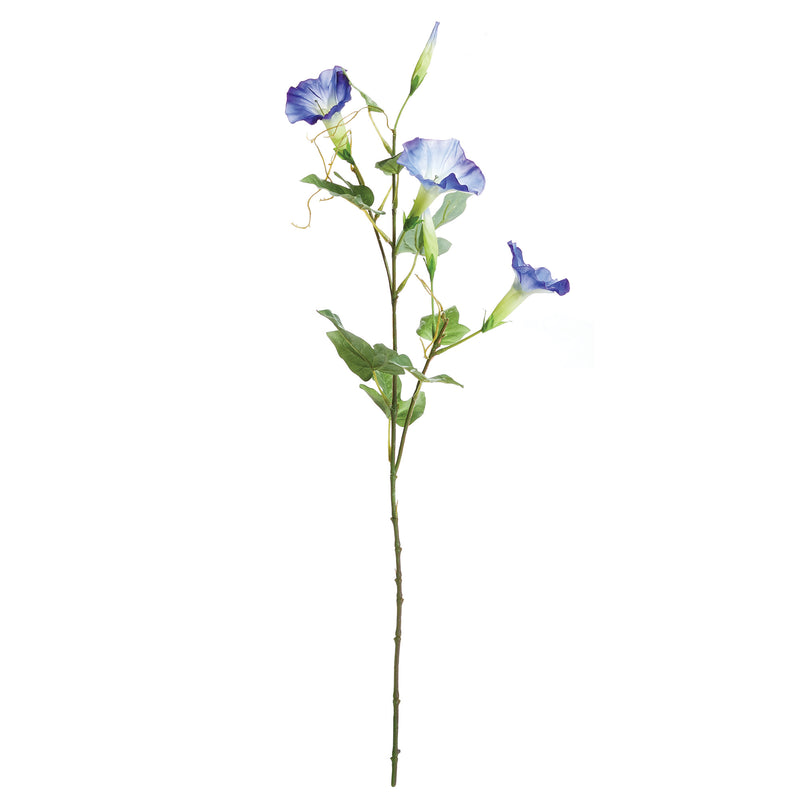 NAPA Home & Garden, MORNING GLORY STEM 24",TP416BL