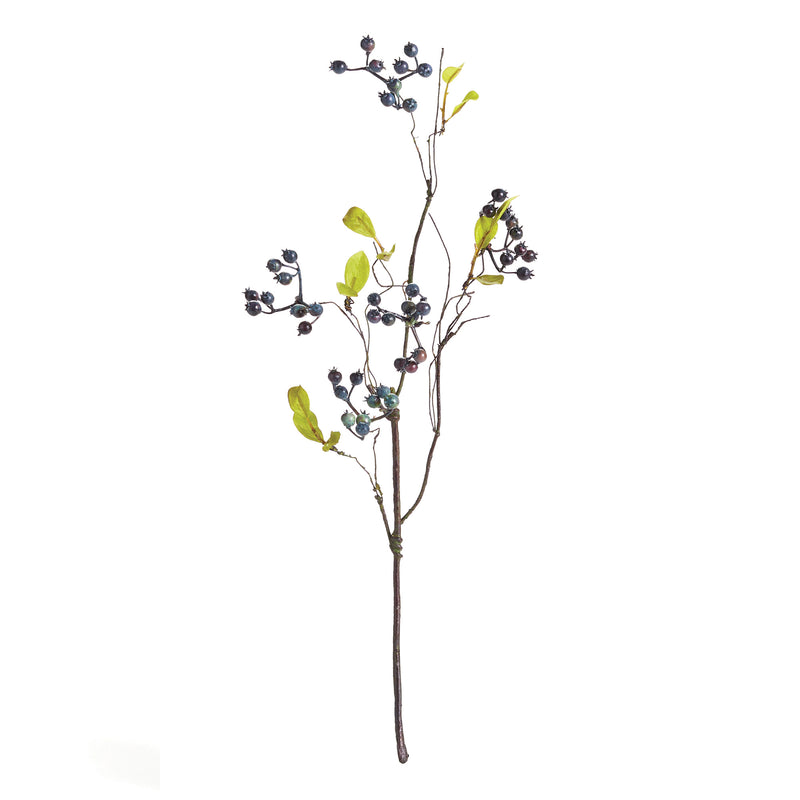NAPA Home & Garden, WILD BLUEBERRY STEM 18",TP418