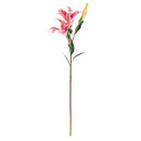 NAPA Home & Garden, LILY STEM 37",TP420