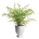 NAPA Home & Garden, COLUMN FOOTED URN