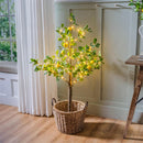 Seaside Retreat Tree, LED Lemon Tree, 4'H