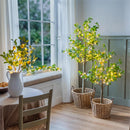 Seaside Retreat Tree, LED Lemon Tree, 4'H