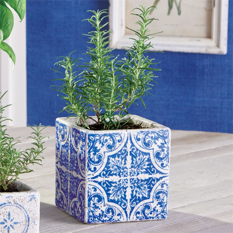 Napa Home Garden, FEZ 5" CACHEPOT,ts126